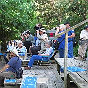 Stands for bird watchers at Boy Scout Woods Bird Sanctuary, High Island